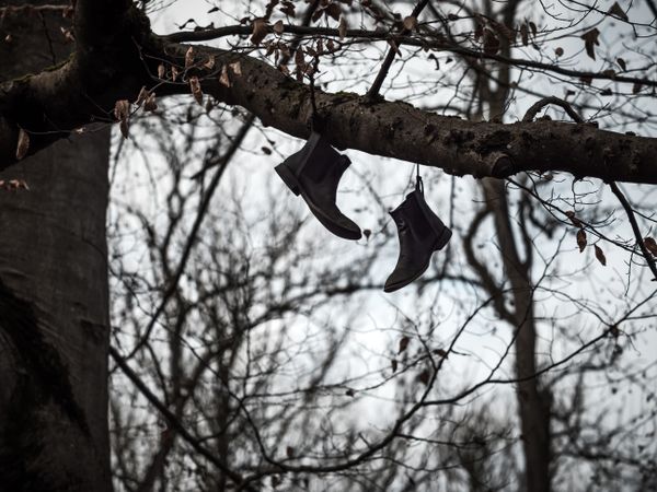 A pair of boots hangs high on a tree. Abandoned old lonely boots.