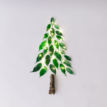 Christmas tree with lights made of leaves and branch