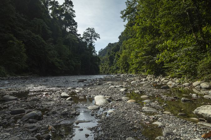 The Bohorok River, in Gunung Leuser National Park, North Sumatra, Indonesia
