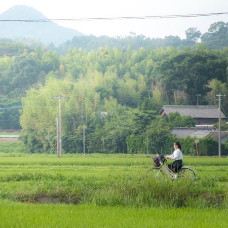Woman riding bicycle on green grass field near mountainous landform