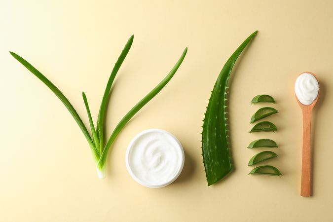 Flat lay composition with natural treatment accessories on color background, space for text and top view. Aloe vera