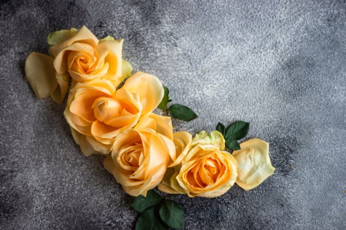 Top view of fresh yellow roses on counter