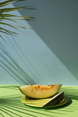 Melon toad skin cut into slices Colorful summer theme