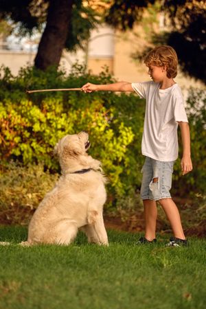 Child playing with dog with stick