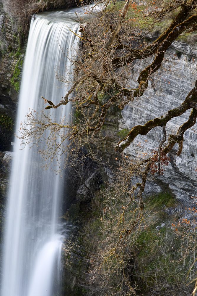 Autumn tree and waterfall