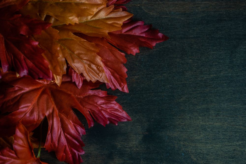 Autumn leaves on wooden table with copy space