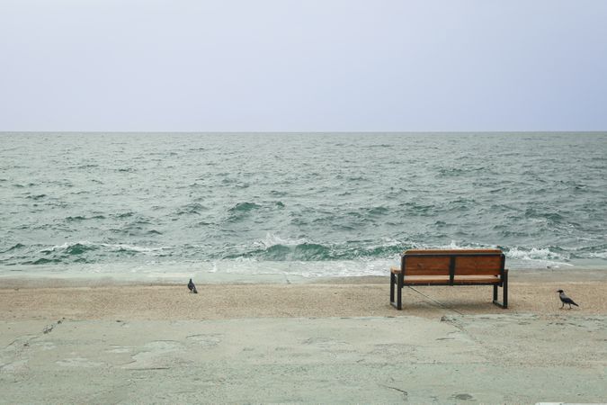 Sea view with bench, space for text