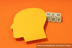 Orange duotone flat lay of head with shadow with the word “memory” in wooden blocks 5Qp8V0