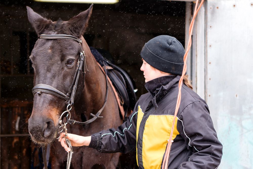 Person fastening horse's bridle in snowy barn.