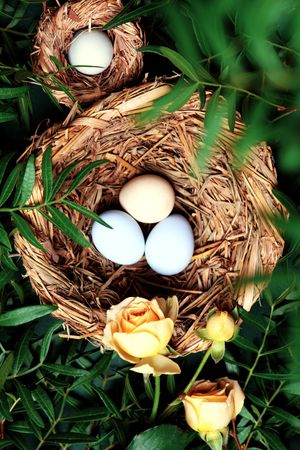 Top view of eggs in nest surrounded by green branches and flowers