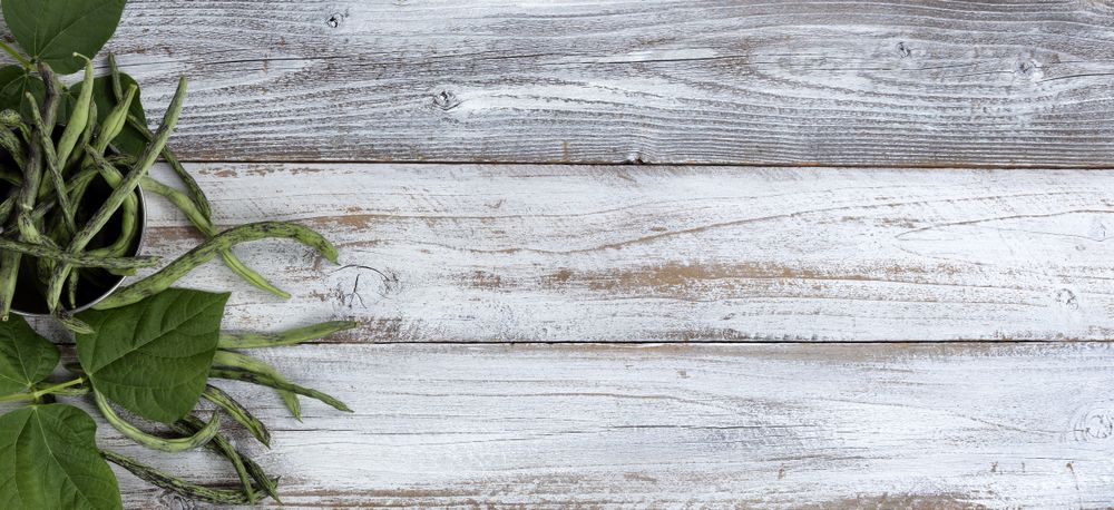 Top view of green rattlesnake pole beans flowing out of stainless steel bowl on wood