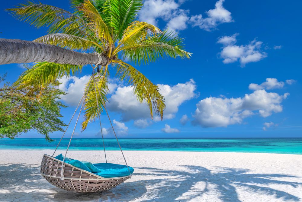 A hanging chair on deserted beach with light sand
