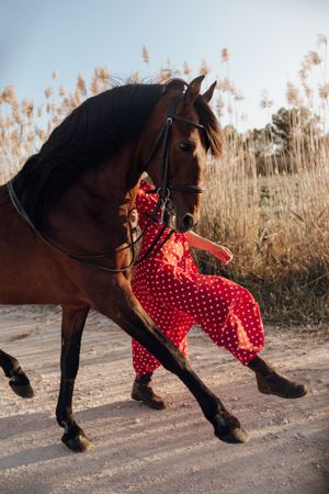 Anonymous female walking with horse