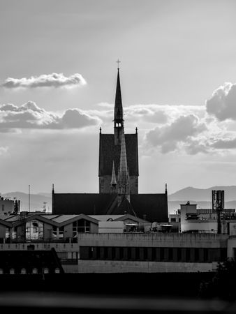 Roofs of the city of Strasbourg. Library building. St Paul's Cathedral.