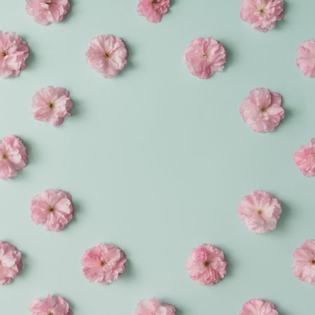 Pink flower pattern on blue pastel background