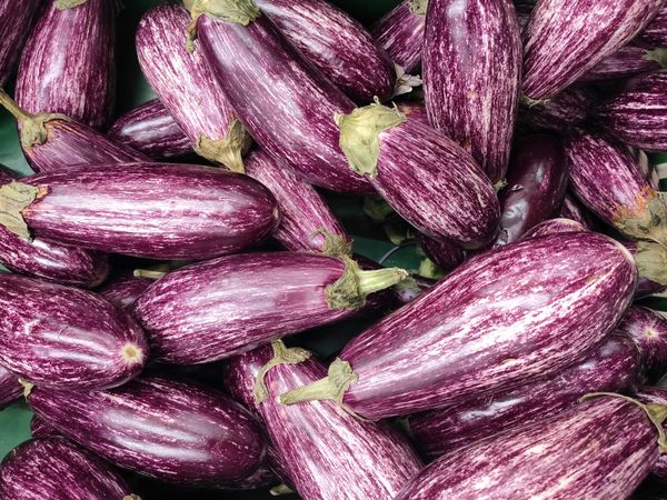 Violet eggplants close up.