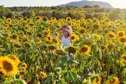 Child standing in sunflower field