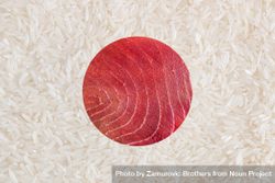Flag of Japan made of rice and tuna meat texture 4ARV6b