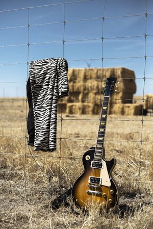 Guitar and striped jacket with barbed wire