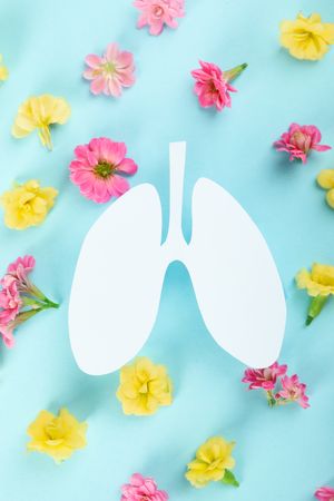 Lung cut out from paper on blue background surrounded by flowers, vertical composition