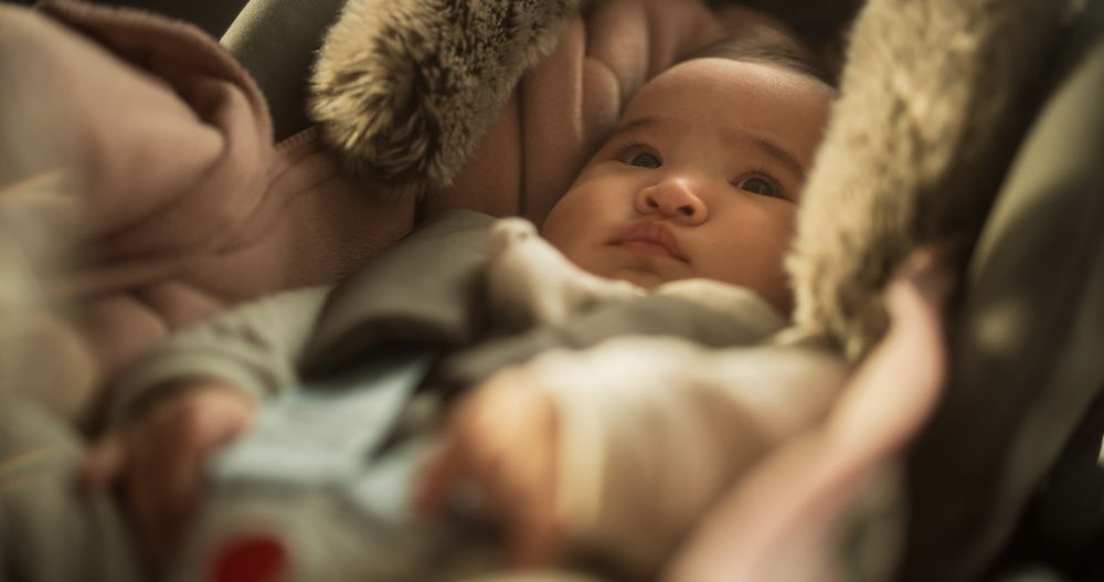 Portrait of a Cute Asian Baby Sitting Calmly in a Car Seat with Safety Belt Securely Attached.
