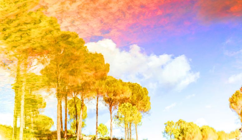 Art effect of golden trees under colorful sky