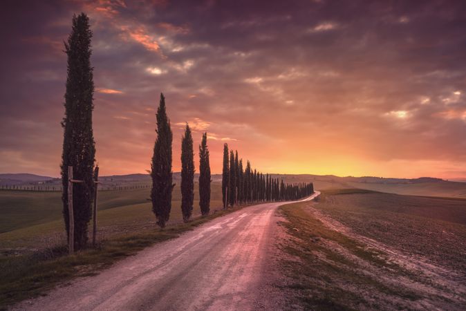 Cypress tree lined road in the countryside of Tuscany, Italy