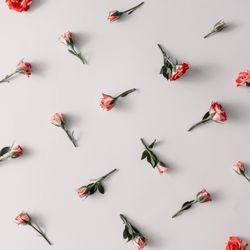 Colorful flowers pattern on light  background