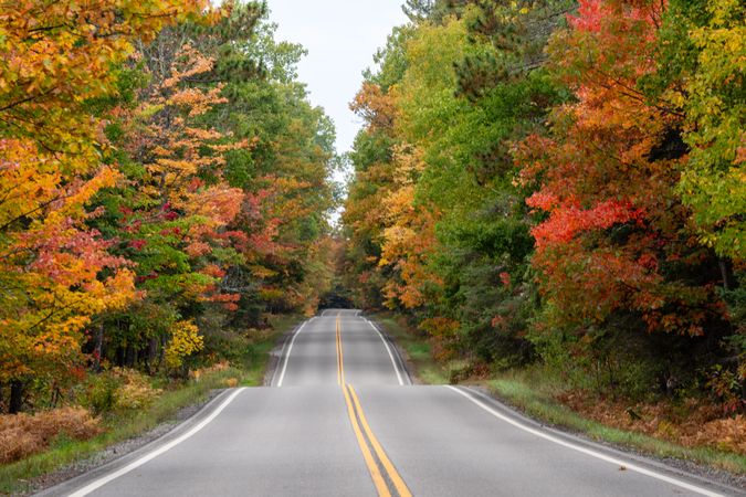 Fall colors along Minnesota State Highway 38 in Itasca County, MN