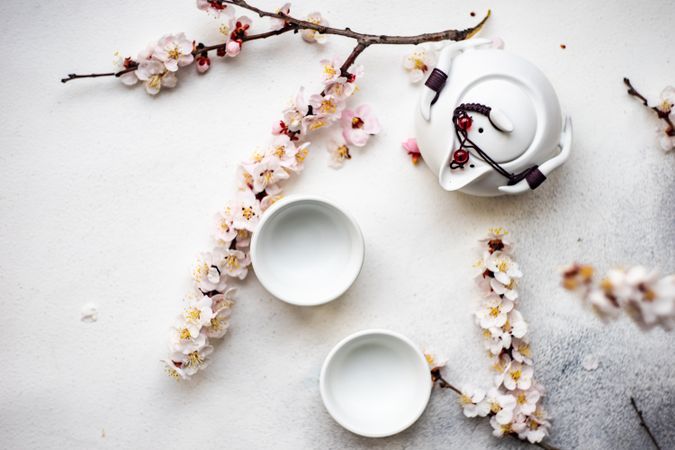 Top view Asian style tea set with apricot blossom