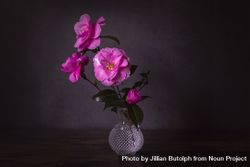 Bouquet of camellia flower in glass vase on wooden table 5RlZ1b