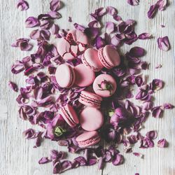 Sweet pink macaron cookies on bed of purple petals, square crop