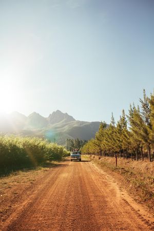 Outdoor image of distant car approaching on a rural dirt road on a sunny day
