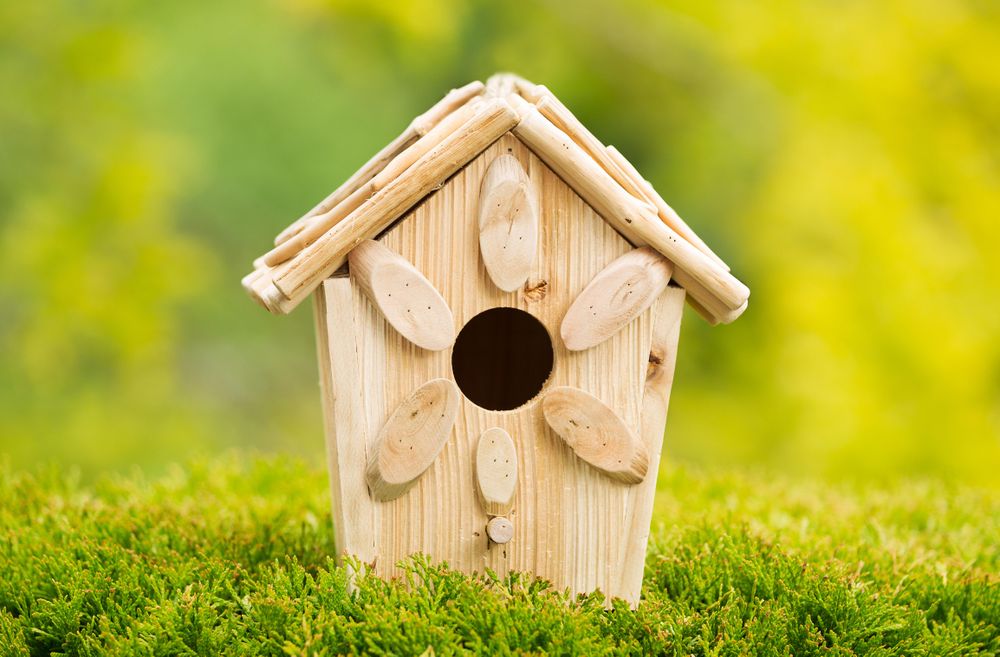 Birdhouse outdoors during summer day