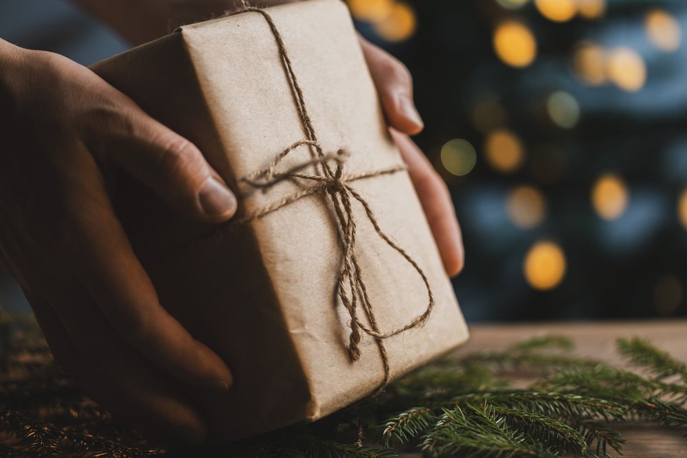Eco friendly Christmas gift in hands