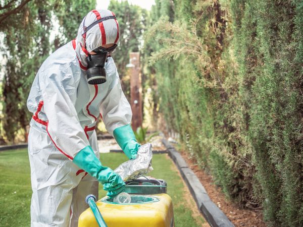 Fumigation specialist putting package into yellow device