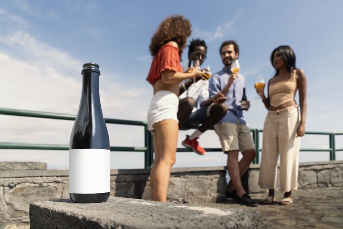 Beer bottle with blank label outdoors, friends drinking craft beer in summer background