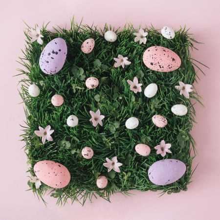 Pink and purple Easter eggs and natural grass and flowers