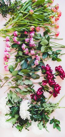 Various sorted summer flowers flat-lay, vertical composition