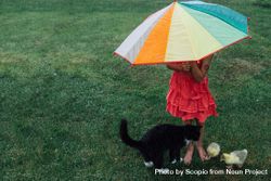Girl holding umbrella beside cat and ducks standing on green field 0goXX0