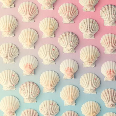 Seashell pattern on gradient pastel pink and blue background