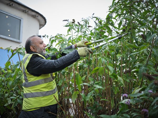 Grey haired male in high vis vest trimming bush outside