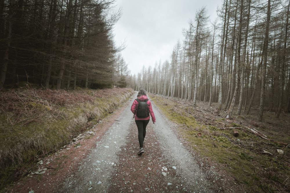 Tourist walking on footpath in forest park