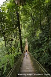 Woman walking down on an outdoor concrete stairs in forest 0LAvV5