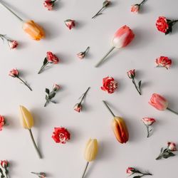 Colorful flowers pattern on light  background