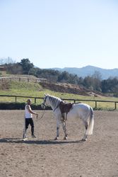 Side view of a man walking with his horse