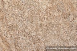 Brown natural stone texture 49mmwv