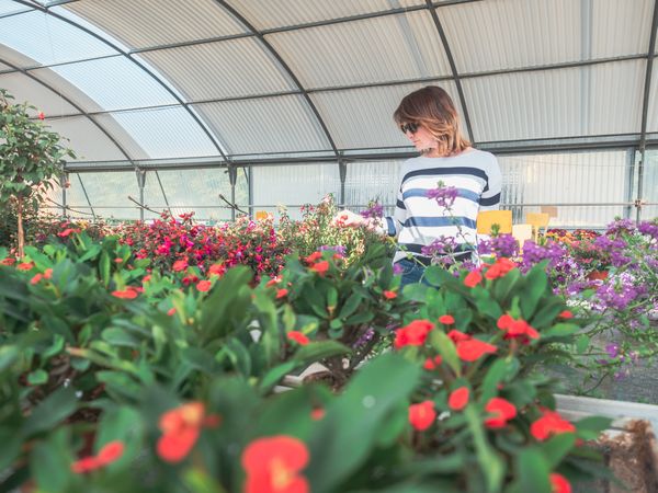 Female studying flowers in greenhouse
