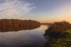 Quiet marshy river in early morning
