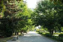 Beautiful city park in bright sunny morning